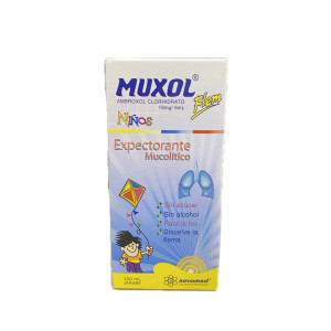 MUXOL FLEM NIÑOS JARABE FRASCO X 120 ML